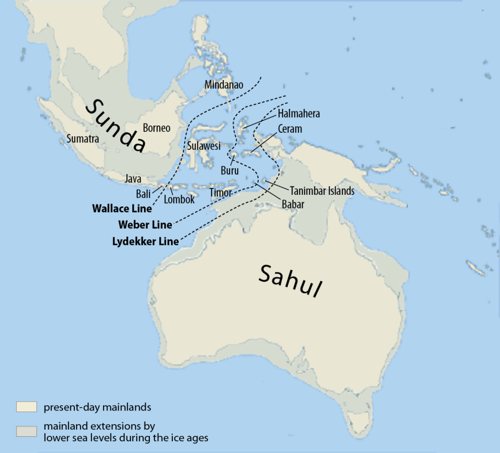 Сахул и Сундаланд во время последнего ледникового максимума, когда уровень моря был на 150 м ниже нынешнего. Район между азиатским и австралийским шельфами носит название Уоллесия. Теперь на дне