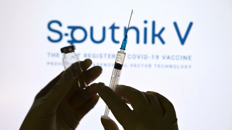 Гинцбург сравнил спектр антител после вакцинации "Спутником V" и Pfizer