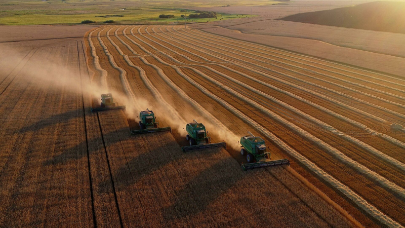 Путин подписал закон о создании реестра земель сельхозназначения