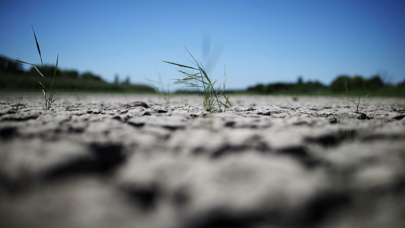 Маловодье и засуха могут угрожать югу России в 2022 году
