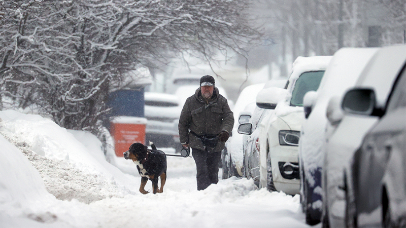В Москве водителей призвали не садиться за руль из-за снегопадов