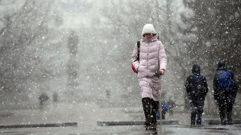 В Петербурге объявили "желтый" уровень погодной опасности
