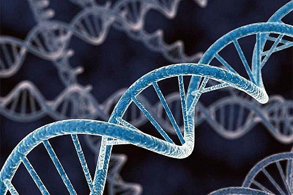 Резервное копирование ДНК