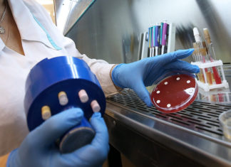 Глава ВОЗ предсказал появление опасного вируса