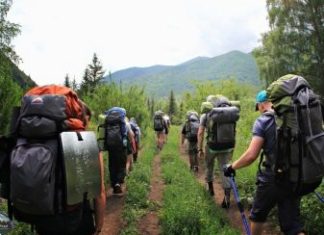 Особенности однодневных туров