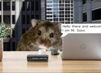 Скончался грызун-криптотрейдер Мистер Гокс