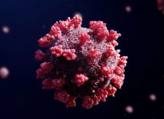 В Чехии и Германии выявили новый штамм COVID-19