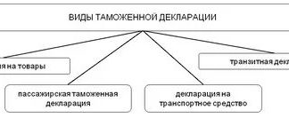 Виды таможенного декларирования товаров