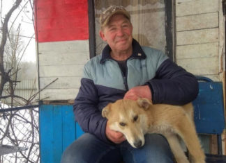 Задержан покрасивший дом в БЧБ-цвета белорус