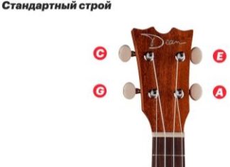 Первые шаги в освоении укулеле для новичков