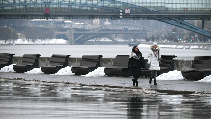 В Москве объявили желтый уровень погодной опасности