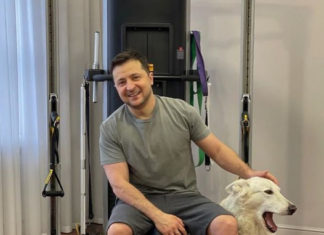 «Жаль, что Петя не сидит»: Порошенко сравнили с собакой Зеленского