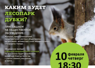 Будущее лесопарка «Дубки» в подмосковной Апрелевке обсудят 10 февраля