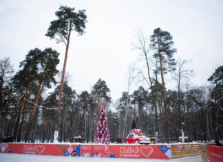 Как в Балашихе в 2022 году реализуют проект благоустройства парка «Пехорка лес»