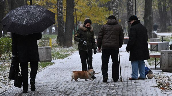 Москвичей на следующей неделе ждет апрельская погода