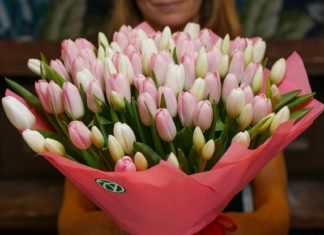 Почему на 8 Марта дарят тюльпаны?