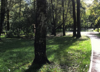 В Подмосковье благоустроят 19 скверов в 2022 году