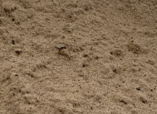 На западе Москвы по решению суда снесен торговый павильон