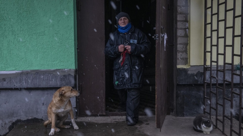 В Донбассе более 25 тысяч животных нуждаются в помощи