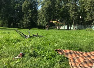 13 тыс. жителей Подмосковья приняли участие в голосовании за объекты благоустройства