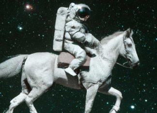 5 нейросетей для создания уникальных фотографий и рисунков