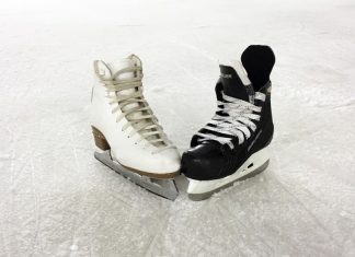 В ЮЗАО построят ледовый дворец и гостиницу