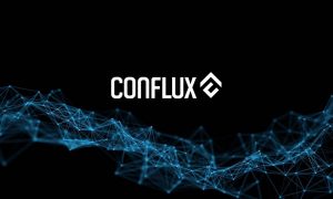 Обзор криптовалюты Conflux