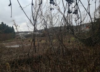 В районе Чертаново Центральное демонтировали опасный долгострой