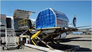 Правила перевозок грузов авиатранспортом