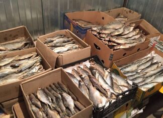 Рыбный магазин в Спб и покупка рыбы