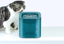 Фонтан для животных: описание и выбор