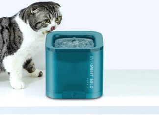 Фонтан для животных: описание и выбор