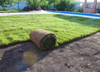 Рулонный газон: преимущества и укладка