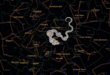 Интересные факты про созвездие Дракона