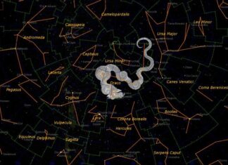 Интересные факты про созвездие Дракона