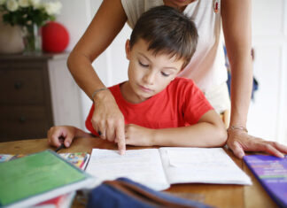 Помощник школьникам и учителям для подготовки к урокам: особенности сайта