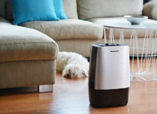 Зачем нужен увлажнитель воздуха для дома и как его выбрать