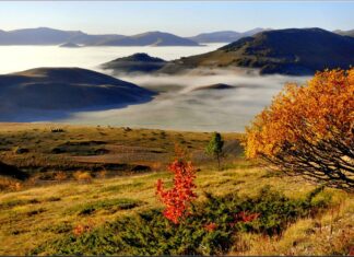 Туры на Сахалин осенью: куда поехать и что посмотреть