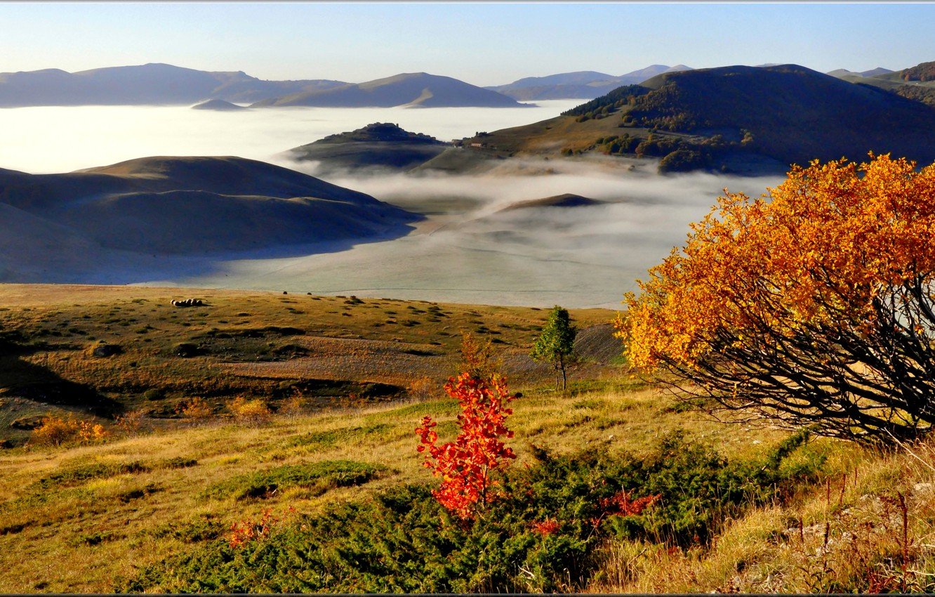 Осень на Сахалине