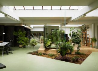 Принципы озеленения и благоустройства интерьеров, общественной территории