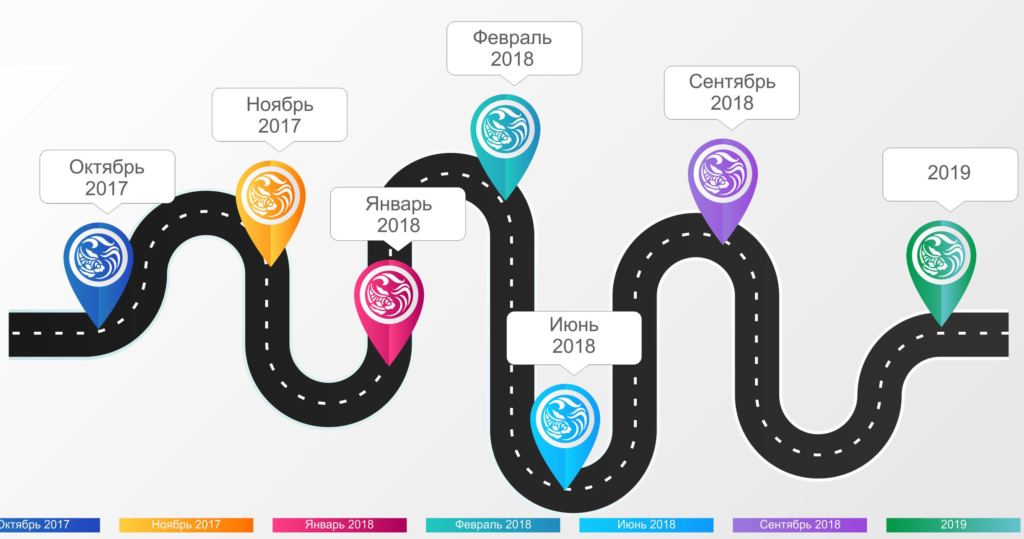 Дорожная карта проекта