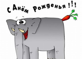 Как оригинально и смешно поздравить с днем рождения