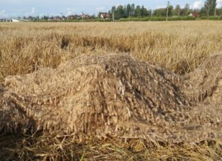 Характеристики и особенности изготовления маскировочных сетей для охоты