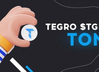 Обзор возможностей биржи Tegro.Finance