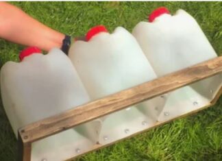 Пластиковые канистры и их применение