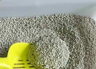 Виды и свойства наполнителей для кошачьего туалета