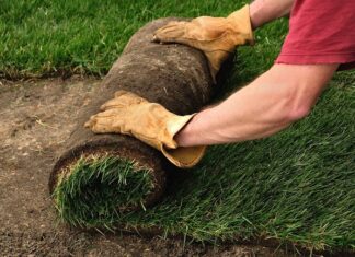 Профессиональная укладка газона – этапы и советы