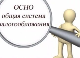 Что нужно знать предпринимателю об общей системе налогообложения в 2024 году