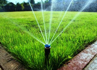 Виды и особенности выбора автополива для газона