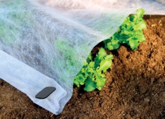 Спанбонд: в чем польза укрывного материала